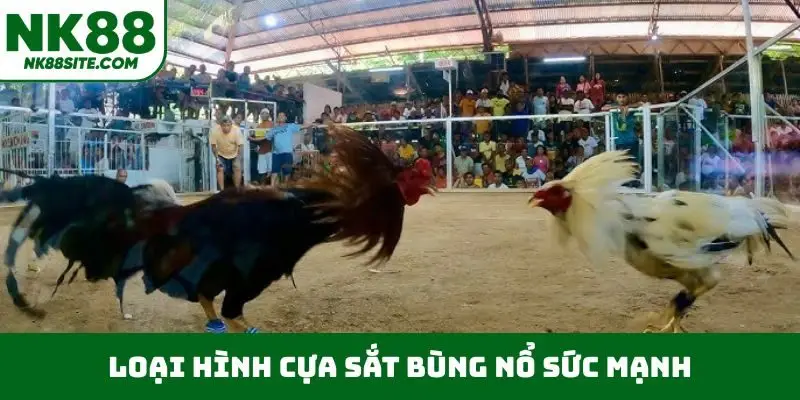 Loại hình cựa sắt bùng nổ sức mạnh